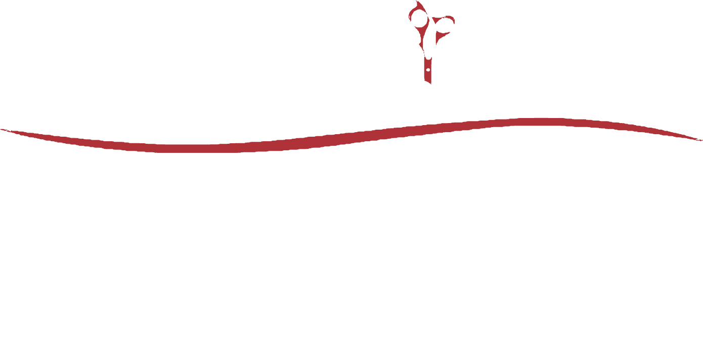 Logo Top Salon Nürnberg